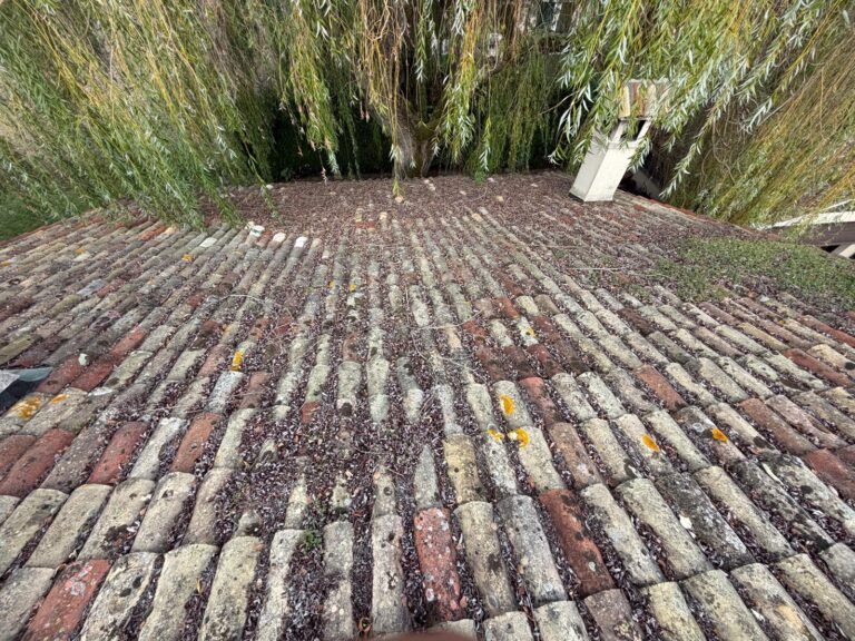 Toiture tuiles canal anciennes encrassées avant démoussage – couvreur à Villeneuve (04)